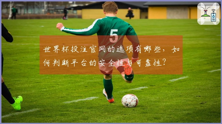 世界杯投注官网的选项有哪些，如何判断平台的安全性与可靠性？