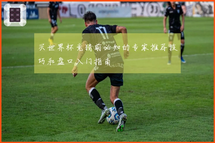 买世界杯竞猜前必知的专家推荐技巧和盘口入门指南