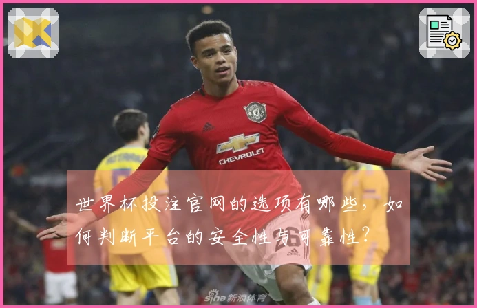 世界杯投注官网的选项有哪些，如何判断平台的安全性与可靠性？